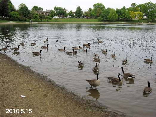 LakeAnna'10.5.15_3