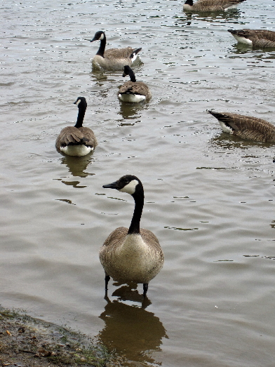 LakeAnna'10.5.15_5