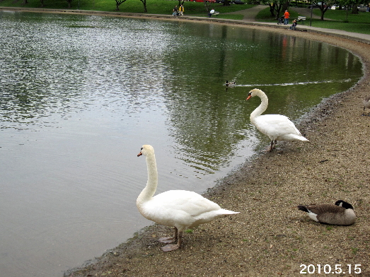 LakeAnna'10.5.15_6