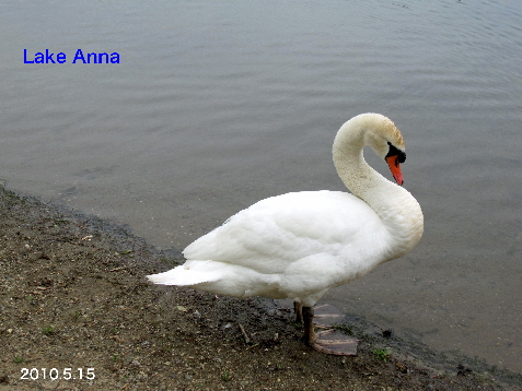 LakeAnna'10.5.15_7