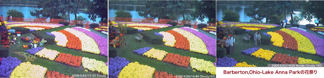  Barberton,Ohio-Lake Anna Parkの花祭り