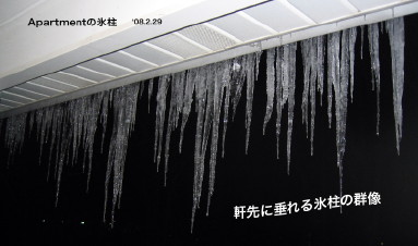 '08.2.29氷柱生成