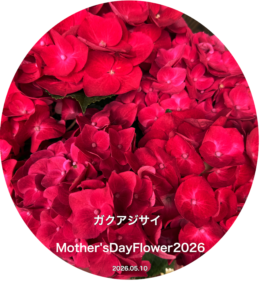 Mother'sDayFlower③